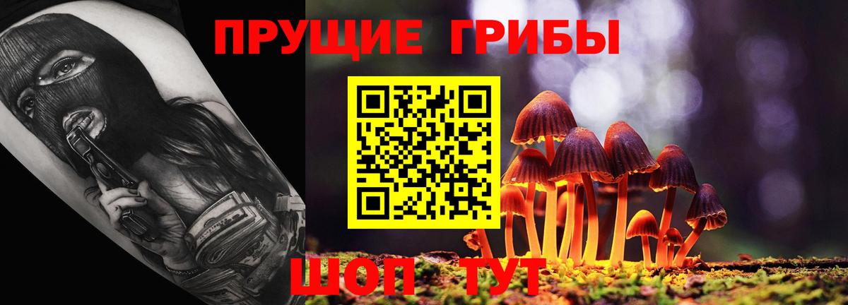 Галлюциногенные грибы Psilocybine cubensis Бердск