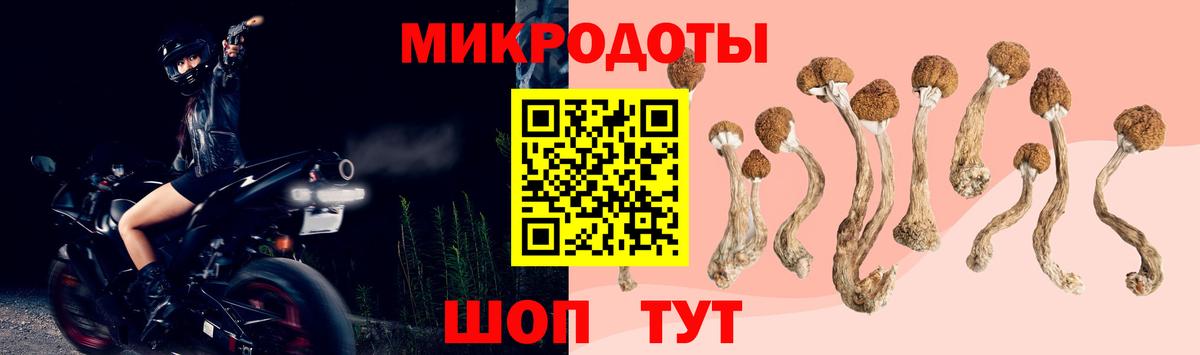 Бердск  Псилоцибиновые грибы Magic Shrooms  Вход с VPN  Галлюциногенные грибы Magic Shrooms 